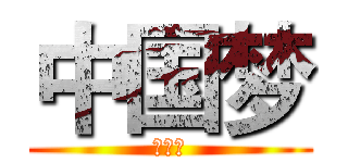 中国梦 (世界梦)