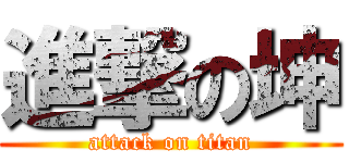 進撃の坤 (attack on titan)