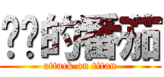 进鸡的番茄 (attack on titan)