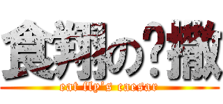 食翔の开撒 (eat fly’s caesar)