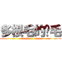 多根毛的貓毛 (attack on titan)