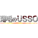 薄毛のＵＳＳＯ (西岡りょう りょう)