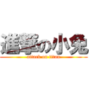 進撃の小兔 (attack on titan)