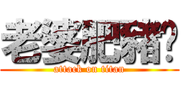 老婆肥豬腩 (attack on titan)