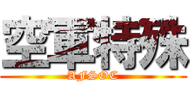空軍特殊 (AFSOC)