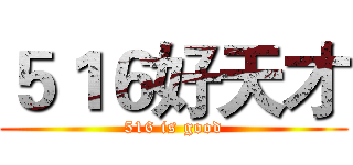 ５１６好天才 (516 is good)