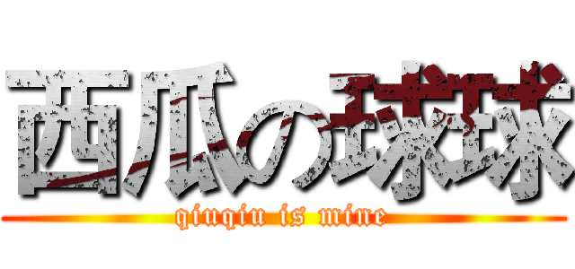 西瓜の球球 (qiuqiu is mine)