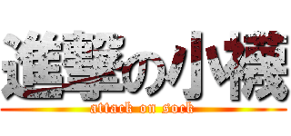 進撃の小襪 (attack on sock)