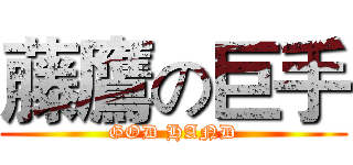 藤鷹の巨手 (GOD HAND)