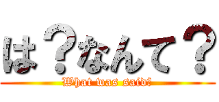 は？なんて？ (What was said?)