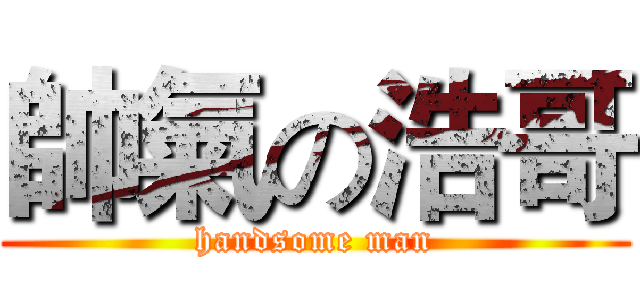 帥氣の浩哥 (handsome man)
