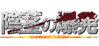 陰茎の爆発 (penis of bomb)