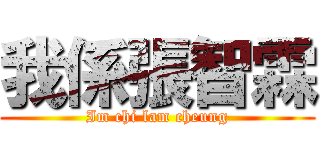 我係張智霖 (Im chi lam cheung)