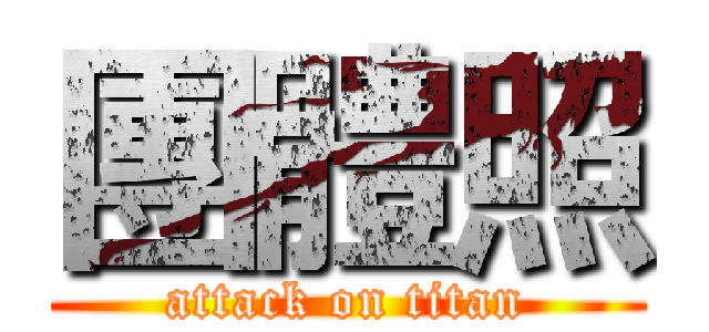 團體照 (attack on titan)