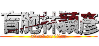 盲胞林穎彥 (attack on titan)