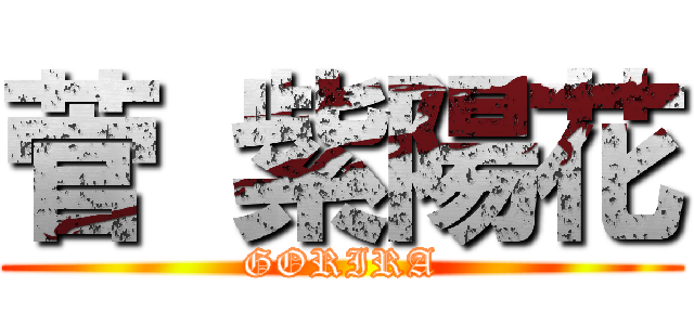 菅 紫陽花 (GORIRA)