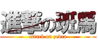 進撃の班馬 (attack on zebra)