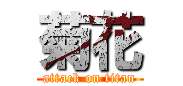 菊花 (attack on titan)
