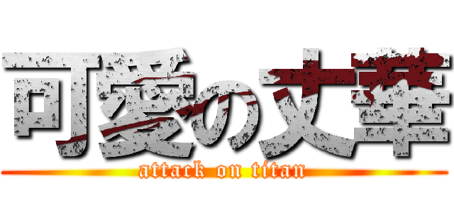 可愛の丈華 (attack on titan)