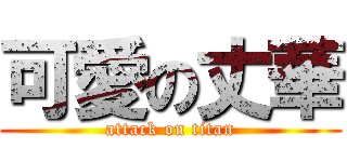 可愛の丈華 (attack on titan)