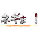 ネギま ！ (magister negi magi )