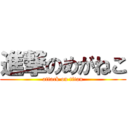 進撃のめがねこ (attack on titan)