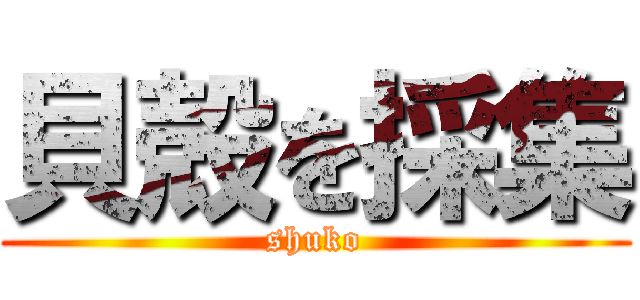 貝殻を採集 (shuko)