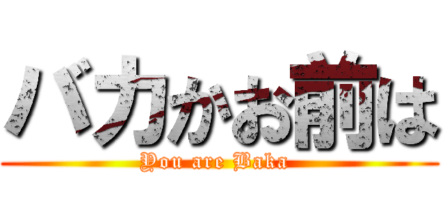 バカかお前は (You are Baka )