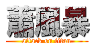 蕭風暴 (attack on titan)
