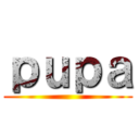 ｐｕｐａ ()