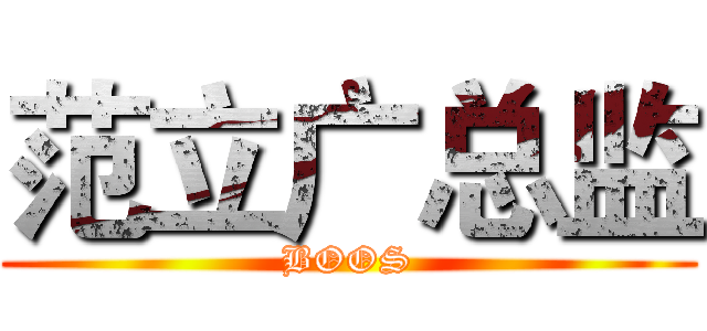 范立广总监 (BOOS)
