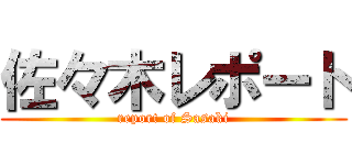 佐々木レポート (report of Sasaki)