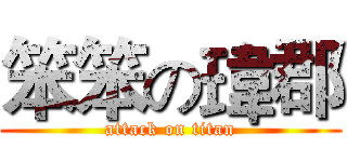 笨笨の瑋郡 (attack on titan)