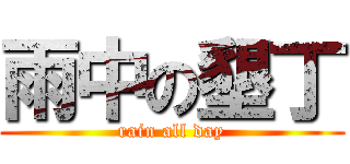 雨中の墾丁 (rain all day)