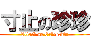 寸止の珍珍 (Attack on Ochinchin)