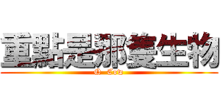 重點是那隻生物 (Q  Cow)