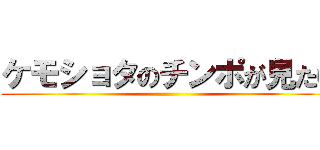 ケモショタのチンポが見たい ()