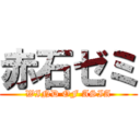 赤石ゼミ (WIND OF ASIA)