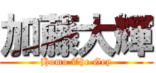 加藤大輝 (Homo The Gey)