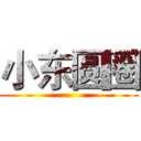 小东圆圈 ()