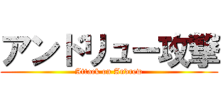 アンドリュー攻撃 (Attack on Andrew)