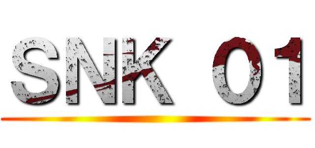 ＳＮＫ ０１ ()