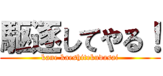 駆逐してやる！ (kane kaeshitekudasai)