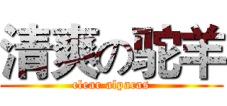 清爽の驼羊 (clear alpacas)
