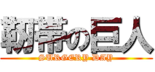 靭帯の巨人 (SURGERY DAY)