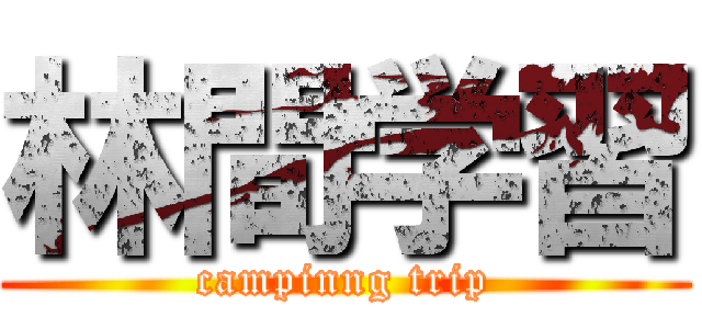 林間学習 (campinng trip)