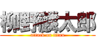柳野麟太郎 (attack on titan)
