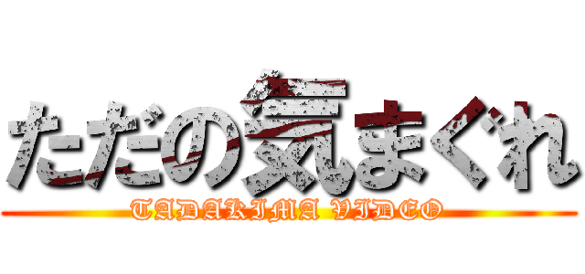 ただの気まぐれ (TADAKIMA VIDEO)