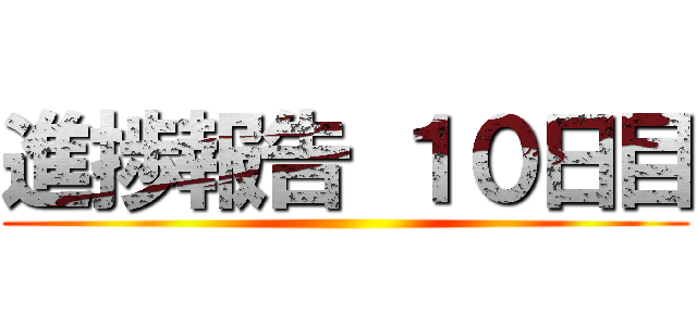 進捗報告 １０日目 ()