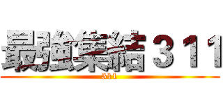 最強集結３１１ (311)